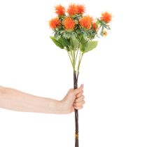 Artikel Kunstig orange saflor som kunstig blomst til vaser og dekoration, 55 cm, 4 stk.