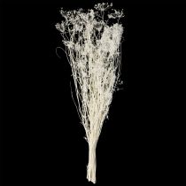 Artikel Tørrede skærmblomster (Umbellifera) Hvide 70-80 cm 150 g