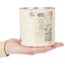 Artikel Blikplante i cremefarvet metal Shabby Chic Ø11cm H10,5cm