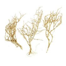 Dry Tree 500g bleget