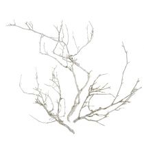 Dry Tree White vasket 500g