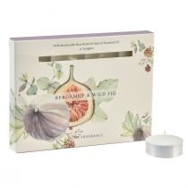 Artikel Duftlys bergamot vild figen fyrfadslys Ø3,5cm 12 stk