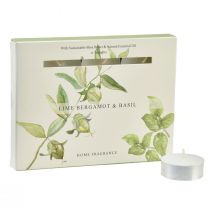 Artikel Duftlys lime bergamot basilikum Ø3,5cm 12 stk