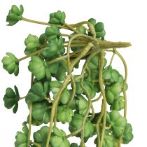 Artikel Echeveria kunstige hængeplanter i grøn B12cm L50cm