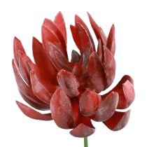 Sukkulent Echeveria Kunstige Grønne Planter Rød Ø12cm 19,5cm