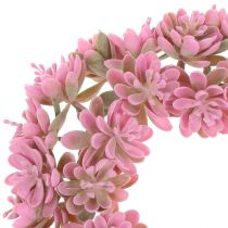 Echeveria krans lyserød Ø18cm 4stk