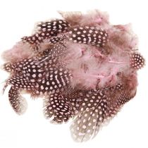 Artikel Ægte perlehønsfjer pink med prikker 4-12cm 100 stk.