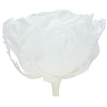 Artikel Ægte rosenhoveder Infinity Roses Hvide Premium Ø8,5cm 4 stk