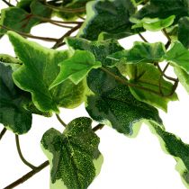 Artikel Ivy bøjle 80cm hvid-grøn