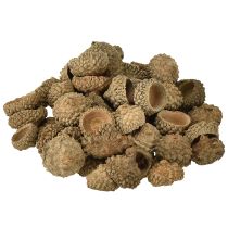 Artikel Agernhætter naturlige dekorative agern til hobbybrug 1,5 cm 200 g