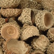 Artikel Agernhætter naturlige dekorative agern til hobbybrug 1,5 cm 200 g