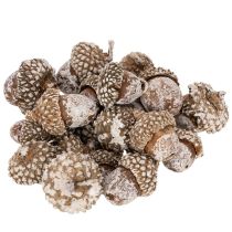 Artikel Agern, naturprodukt til dekoration, hvidkalkede, 1-3 cm, 300 g