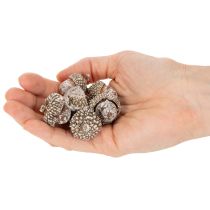 Artikel Agern, naturprodukt til dekoration, hvidkalkede, 1-3 cm, 300 g