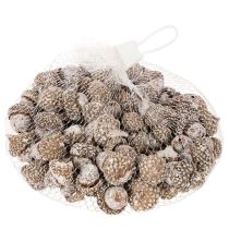 Artikel Agern, naturprodukt til dekoration, hvidkalkede, 1-3 cm, 300 g