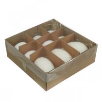 Artikel Svaneæg &amp; hønseæg blanding udblæst æg hvid 5,5/8 cm 9 stk.