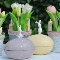 Kanin på æg, dekorativt æg til at fylde, påske, dekorationsæske gul, lilla H17/16cm L15cm sæt med 2