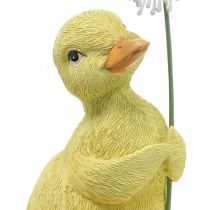 Forårsdekoration, ællinger med mælkebøtte, dekorativ figur H13,5cm