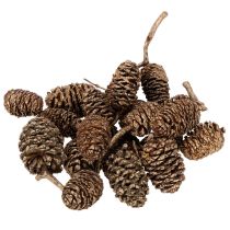 Artikel Ellekogler, naturprodukt til dekoration og hobbyarbejde, guld, 3 cm, 300 g