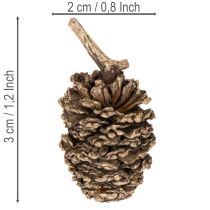 Artikel Ellekogler, naturprodukt til dekoration og hobbyarbejde, guld, 3 cm, 300 g