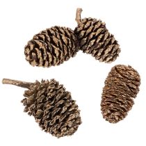 Artikel Ellekogler, naturprodukt til dekoration og hobbyarbejde, guld, 3 cm, 300 g