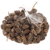 Artikel Ellekogler, naturprodukt til dekoration og hobbyarbejde, guld, 3 cm, 300 g