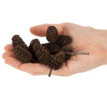 Artikel Naturlige ellekogler, løse, til dekoration, 3 cm, 300 g, naturbrun.