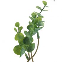 Kunstig eukalyptusgren grøn 37cm 6stk