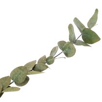 Artikel Konserverede dekorative grene og blade af eukalyptus, runde tørrede dekorationer, grønne, 150 g