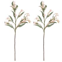 Artikel Eucalyptus Kunstige Gren Blade Knopper 75cm 2stk