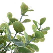 Artikel Eukalyptus dekoration kunstige planter eukalyptus grene 34cm