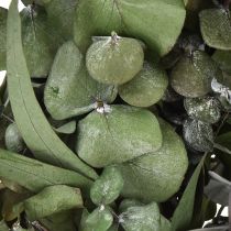 Artikel Eukalyptuskrans naturkrans eukalyptus bevaret Ø35cm