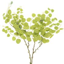 Artikel Dekorativ eukalyptusgren, ideel borddekoration, 120 cm