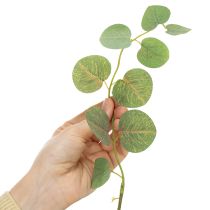 Artikel Dekorativ eukalyptusgren, ideel borddekoration, 120 cm