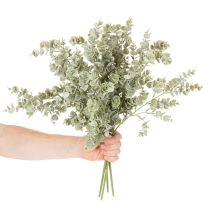 Artikel Kunstig eukalyptusgren, dekorativ gren til vaser og buketter, 49 cm, 4 stk.