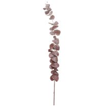 Artikel Eukalyptusgrene, konserveret eukalyptus, tørrede blomster, røde, 75 cm, 150 g