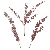 Artikel Eukalyptusgrene, konserveret eukalyptus, tørrede blomster, røde, 75 cm, 150 g