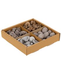 Artikel Potpourri borddekoration med nødder for en naturlig sommerstemning