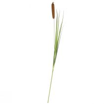 Artikel Kunstige planter, kathale kunstig, rørdekoration 92cm