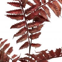 Artikel Artificial Fern Dark Pink 81cm Kunstig plante som den ægte vare!