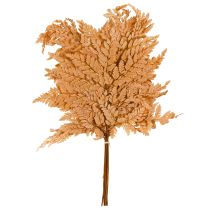 Artikel Orange konserveret bregnedekoration 45 cm 10 stk. Hjemmedekoration DIY