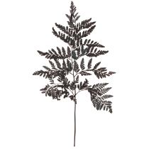 Artikel Bregnedekoration Ægte Bregneblade Sorte Konserveret 45cm 10 Stk