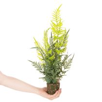Artikel Kunstig bregneplante med rodklump til bolig- og kontordekoration, 57 cm