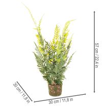 Artikel Kunstig bregneplante med rodklump til bolig- og kontordekoration, 57 cm