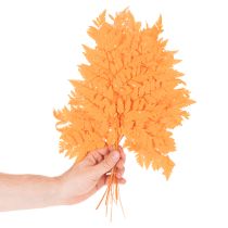 Artikel Tørrede og konserverede bregneblade til blomster og efterårsdekoration, 42 cm, 10 stk.