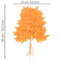 Artikel Tørrede og konserverede bregneblade til blomster og efterårsdekoration, 42 cm, 10 stk.