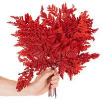 Artikel Konserverede og farvede bregneblade, ægte bregne til efterårsarrangementer, 42 cm, 10 stk.