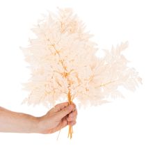 Artikel Tørret bregnedekoration til vase 42 cm 10 stk.