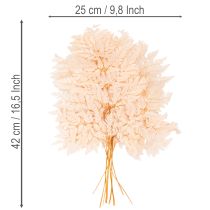 Artikel Tørret bregnedekoration til vase 42 cm 10 stk.