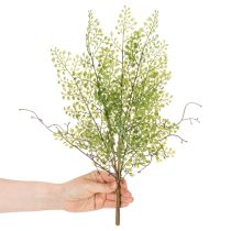 Artikel Kunstig grøn Ruscus-gren til blomsterdekoration, 41 cm