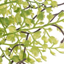 Artikel Kunstig grøn Ruscus-gren til blomsterdekoration, 41 cm